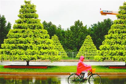 济南：园林局搭建塔形花架迎国庆（图）