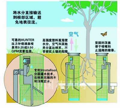 新型根部灌水系统示意图