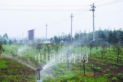 河南鄢陵节水灌溉受欢迎(图)