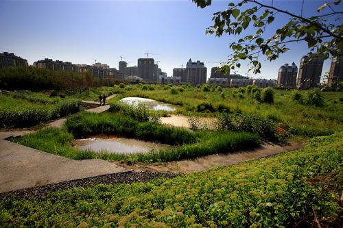 全国首个雨洪公园亮相哈尔滨——群力国家城市湿地公园