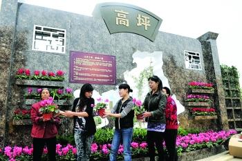 四川南充高坪：花卉盆景“复制”江东最美山水
