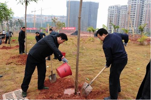  1月9日，玉林市干部在玉东新区秀水大道植树点植树