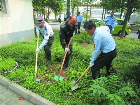 江苏：姑苏“开心农场”回归绿地