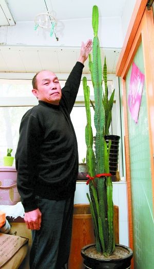 河北：保定市民所种盆栽疯长 快顶到天花板了