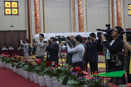 2012中国•杭州世界屋顶绿化大会会议现场