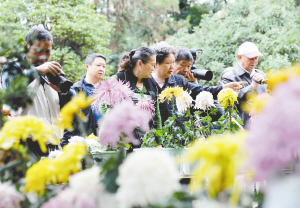 市民在鲜花前拍照留念