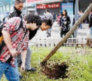 重庆：都走捷径 南坪长途汽车站进站口绿化带被踩出大坑