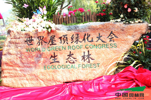 2012中国•杭州世界屋顶绿化大会揭幕式