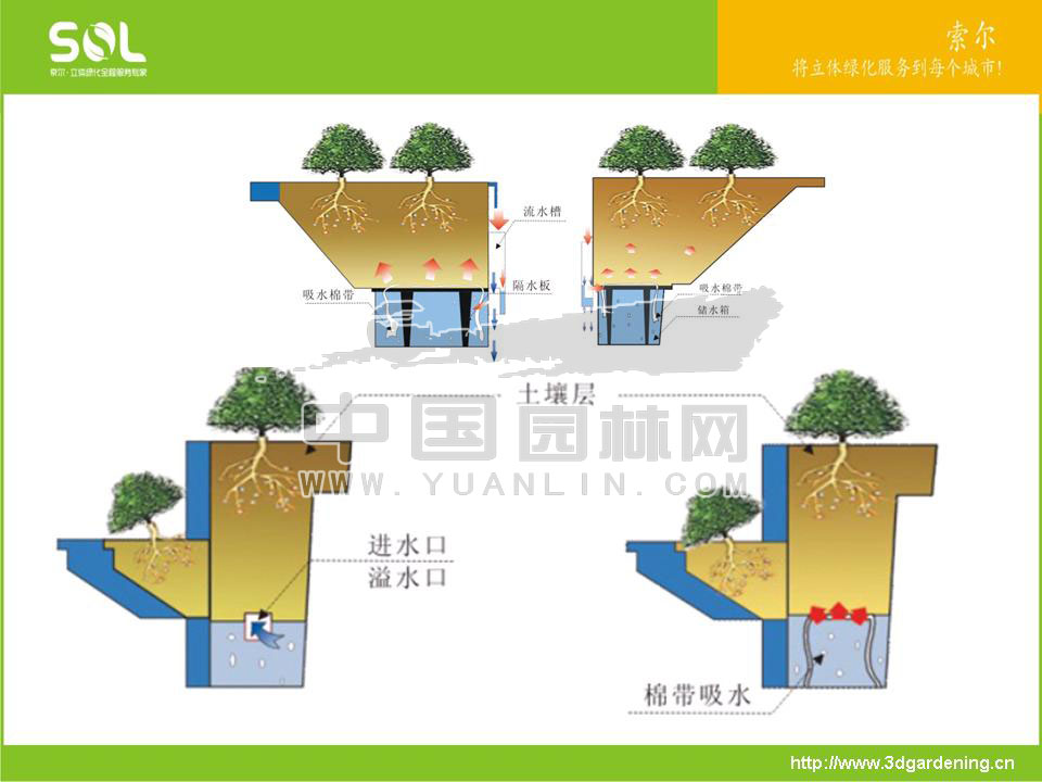 节水容器在立体绿化中的应用