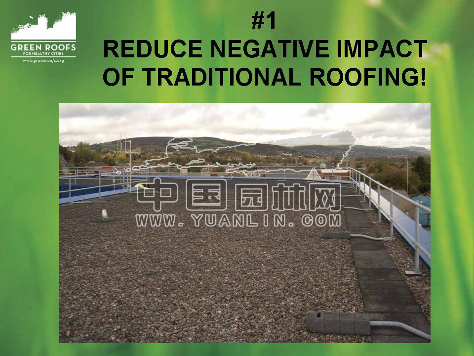 Building The Green Roof Industry in North America