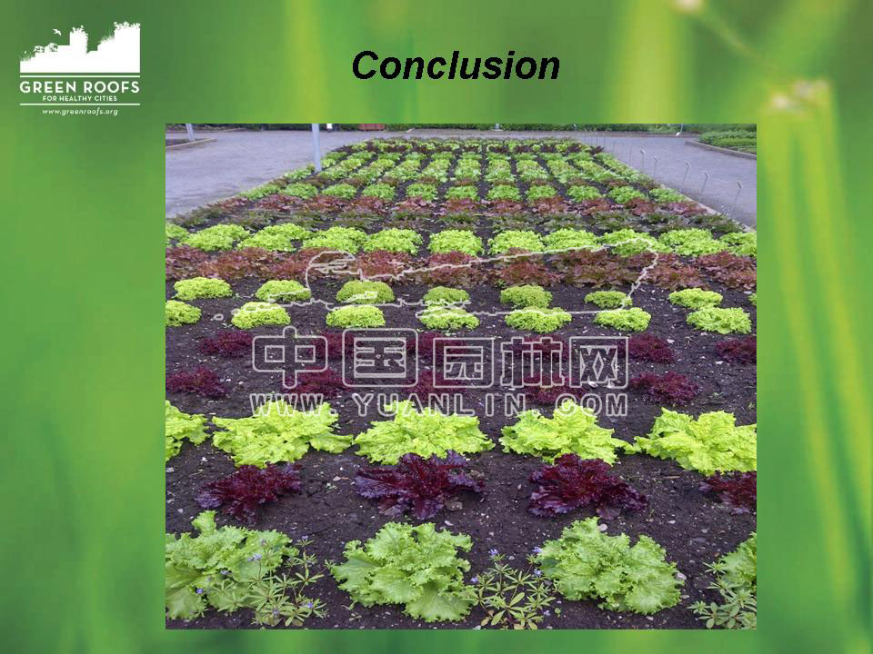 Building The Green Roof Industry in North America