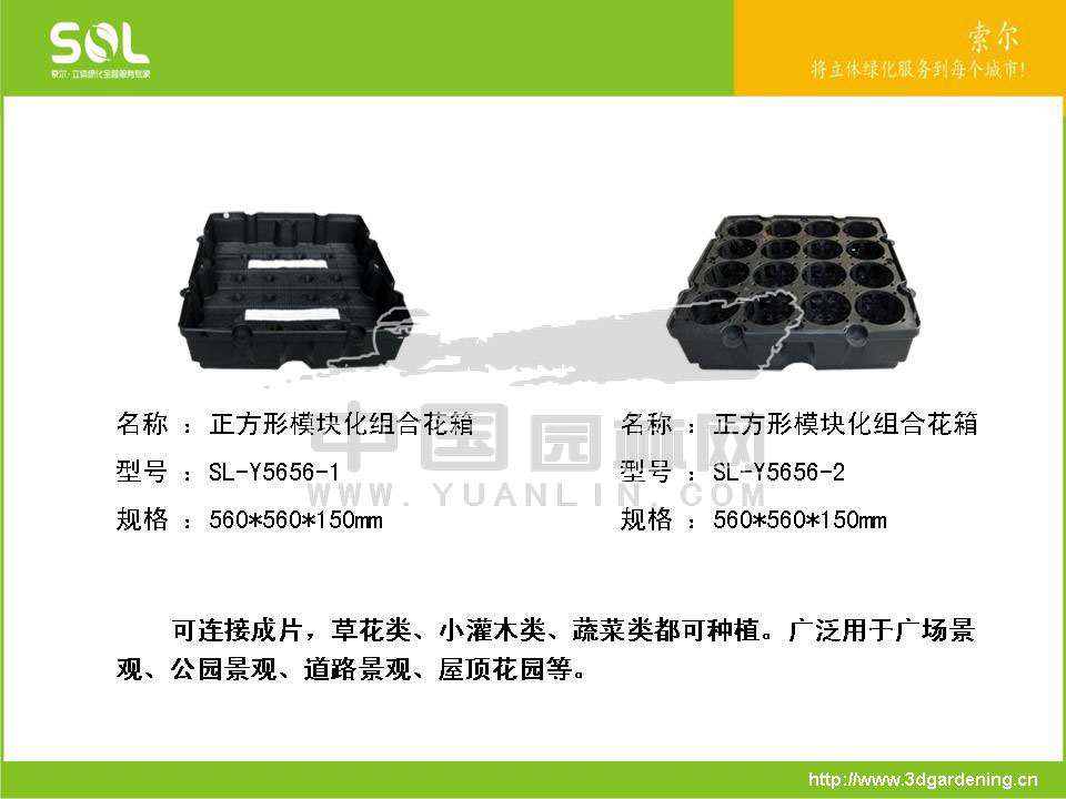 节水容器在立体绿化中的应用