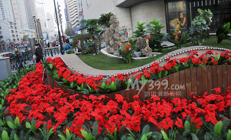 哈尔滨果戈里大街设立仿真“盆景鲜花”