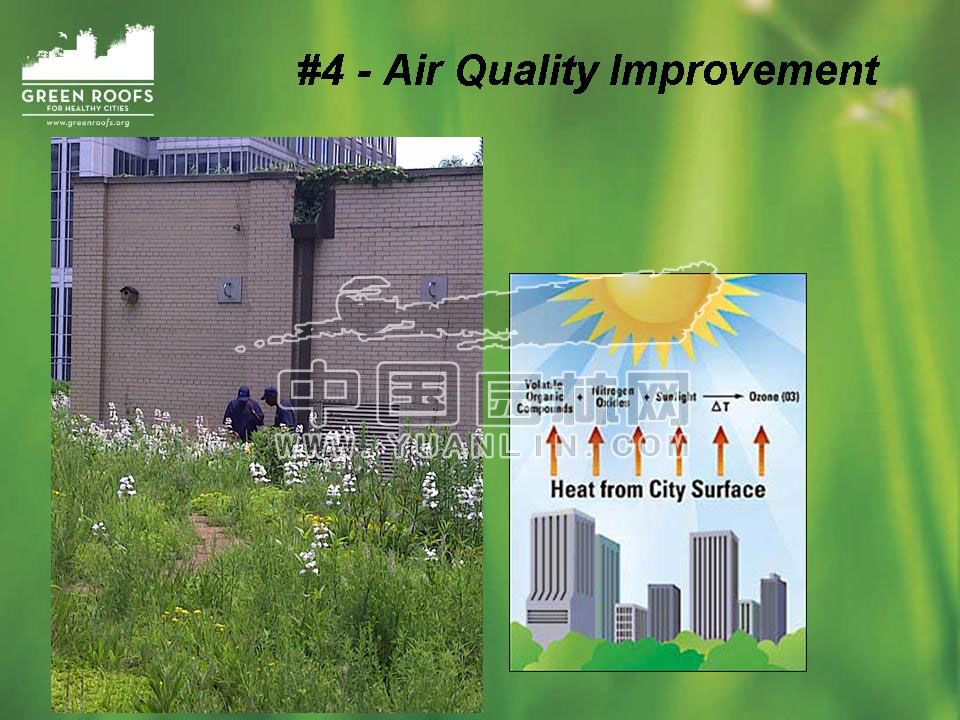 Building The Green Roof Industry in North America