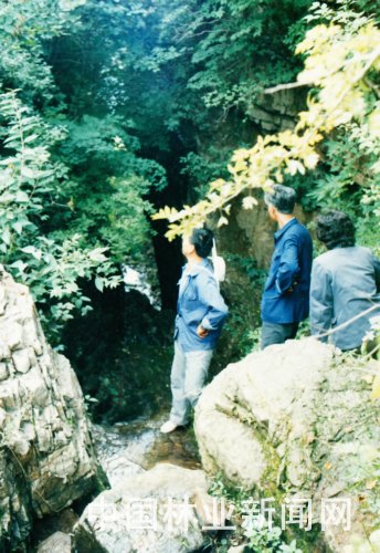 1990年，本文作者徐军廷（左一）在辽宁省东部山区进行森林资源调查时的情景