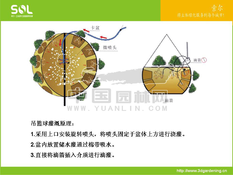 节水容器在立体绿化中的应用