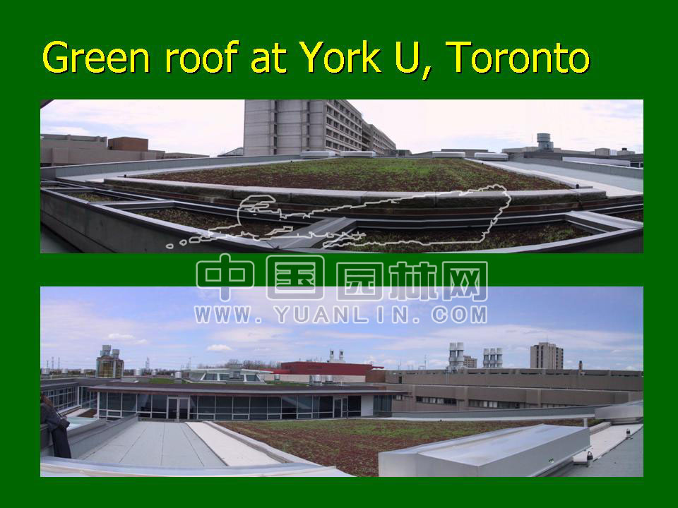 Green roof project presentation of Toronto
