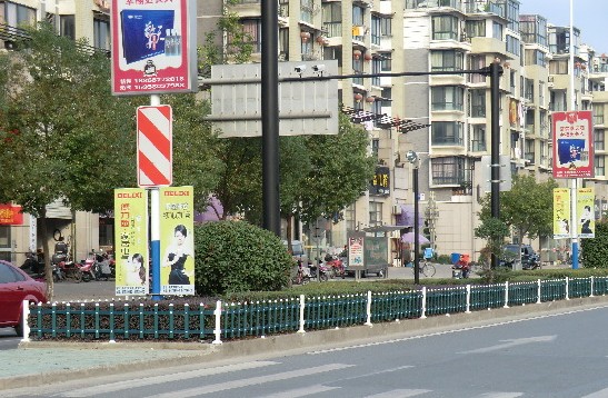 建德市严州大道桥东段绿化带安装新护栏