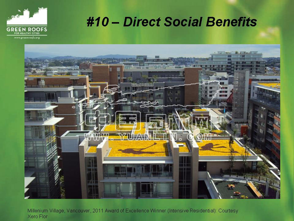 Building The Green Roof Industry in North America