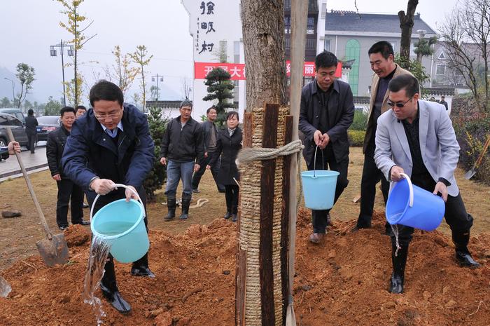 2012年11月21日桐庐干部群众在江南镇徐畈村参加珍贵树种进万村植树活动