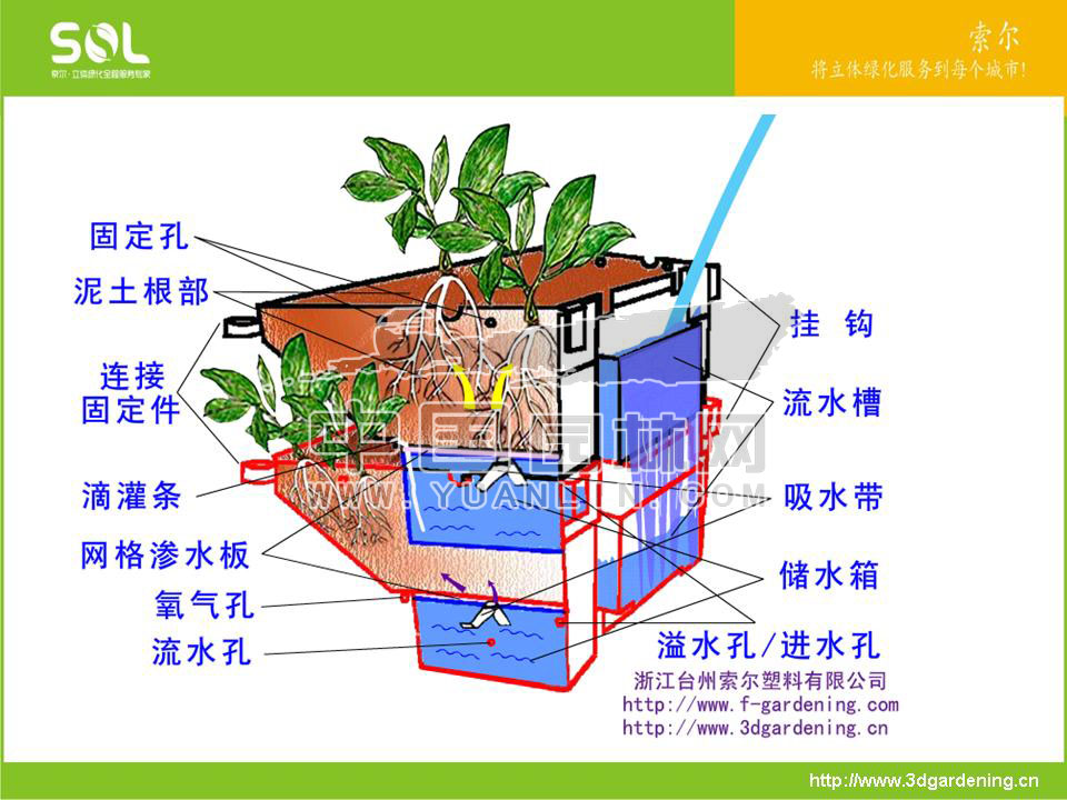 节水容器在立体绿化中的应用