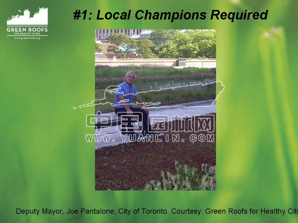 Building The Green Roof Industry in North America