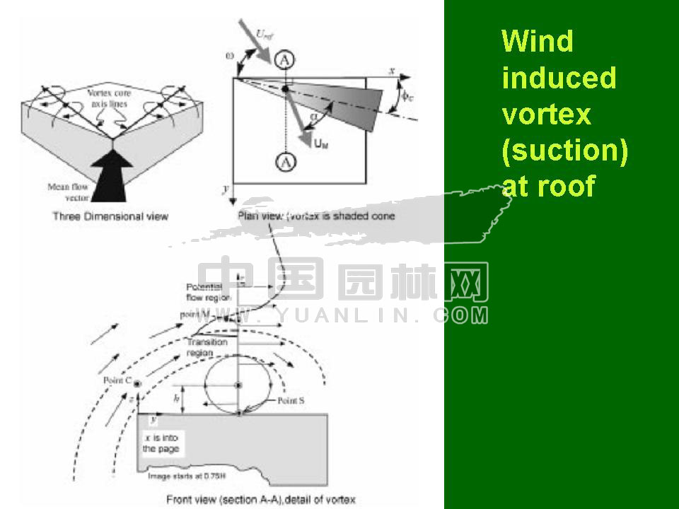 Green roof project presentation of Toronto