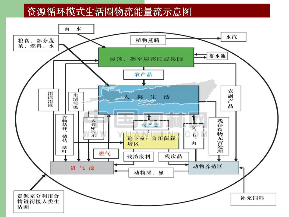 屋顶农业利用的意义与实践