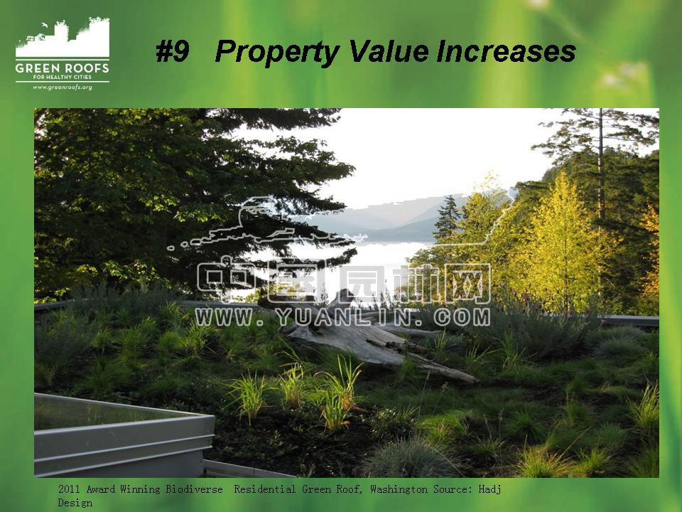 Building The Green Roof Industry in North America