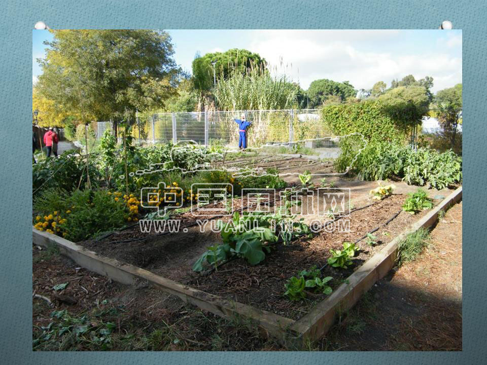 Urban Greening in Spain De Felipe and Briz
