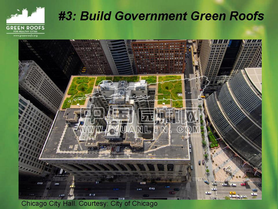 Building The Green Roof Industry in North America