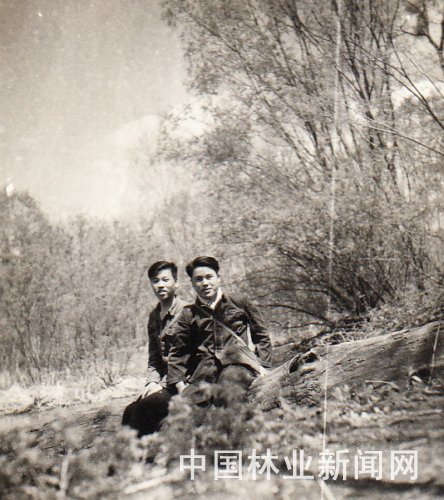 森林资源调查间隙在林间休息，1957年摄于黑龙江林区，左一为徐军廷