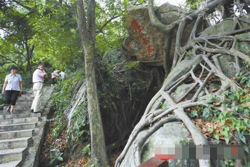 大岭山森林公园飞来石景区 