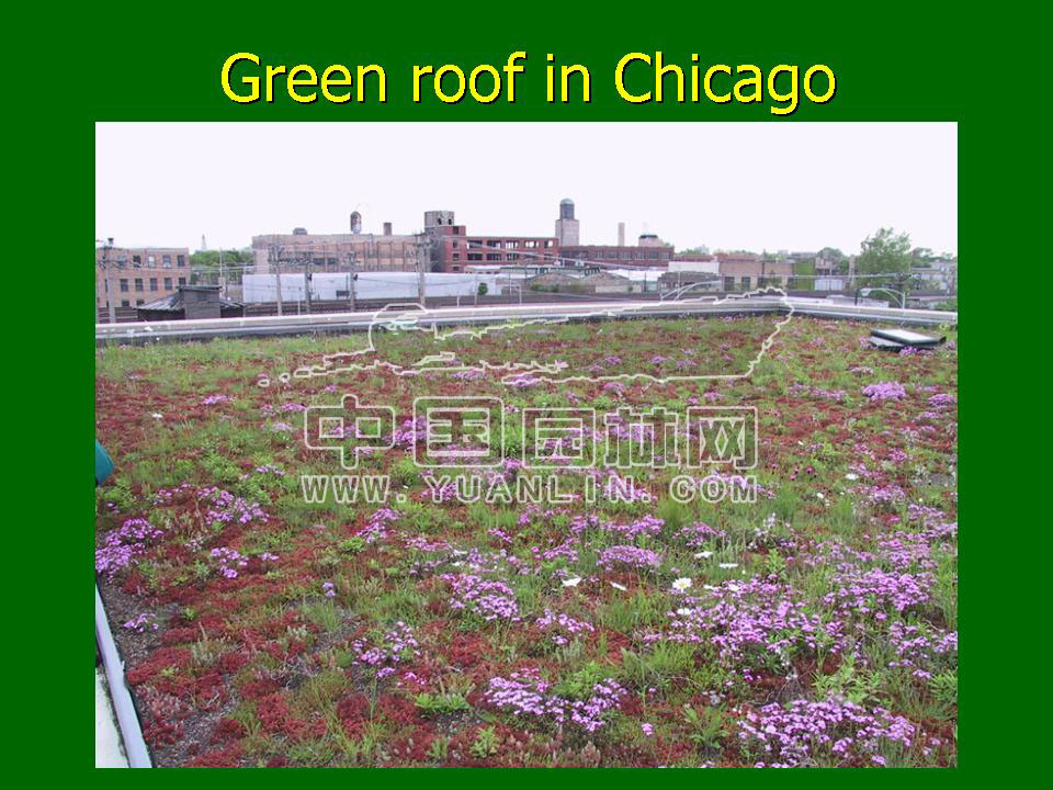 Green roof project presentation of Toronto