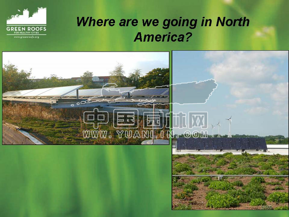 Building The Green Roof Industry in North America