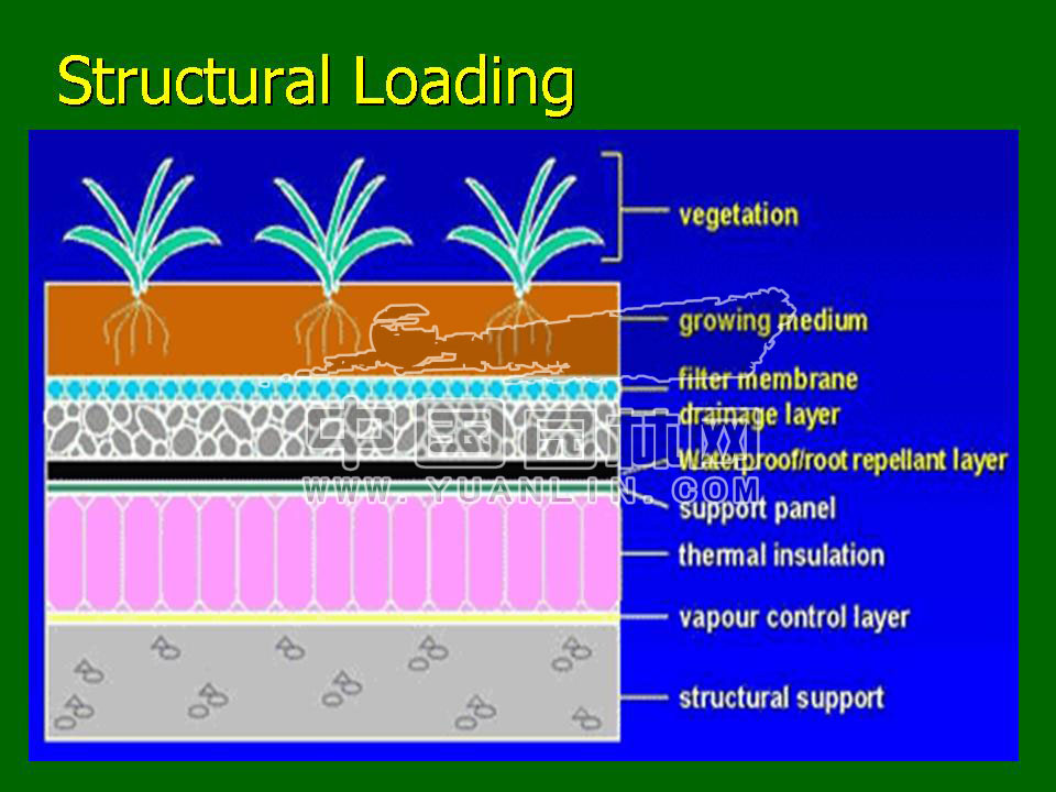 Green roof project presentation of Toronto