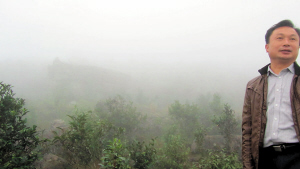 发现野生茶的地方，在海拔1200米的高寒山区