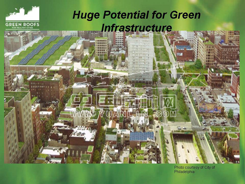 Building The Green Roof Industry in North America