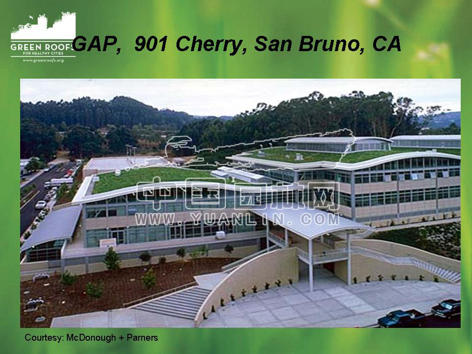 Building The Green Roof Industry in North America