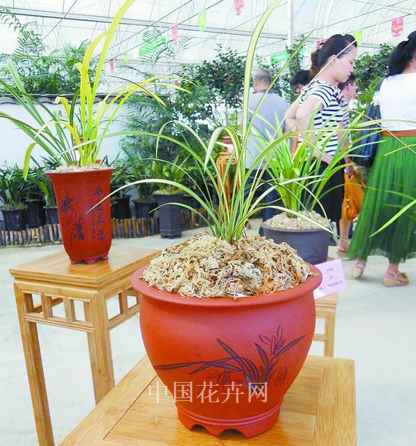 盆钵器具