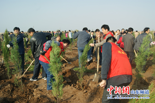 山东潍城冬季义务集体植树5000余株