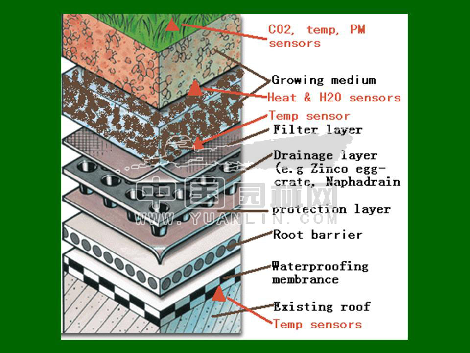 Green roof project presentation of Toronto
