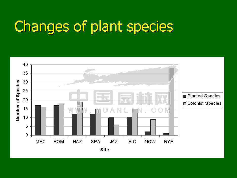 Green roof project presentation of Toronto