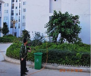 昆明市东川区为部分单位进行园林病虫害防治