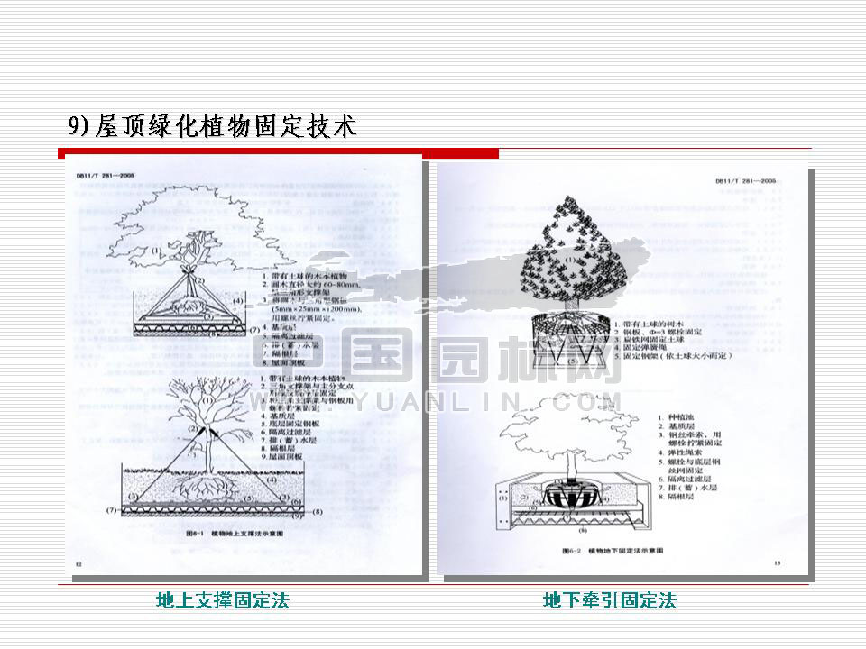 北京屋顶绿化发展概况及前景展望