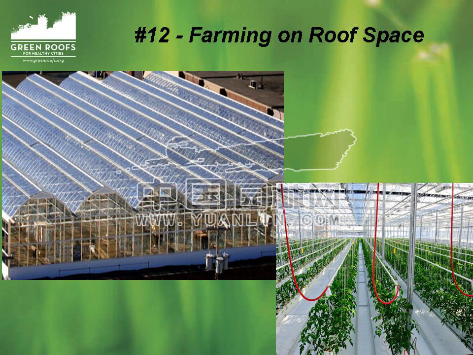 Building The Green Roof Industry in North America