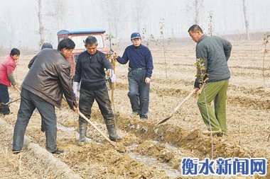 小寨千亩森林公园植树现场