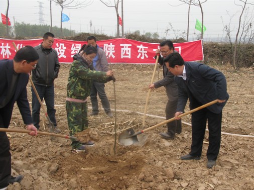 华阴市组织开展秋冬季义务植树会战活动