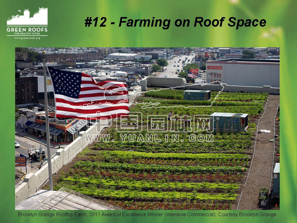 Building The Green Roof Industry in North America