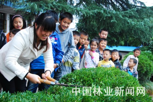 浙江建德：学生莳花弄草绿化校园